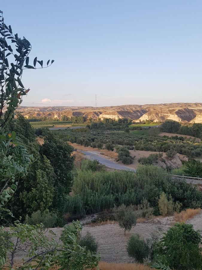 דירות Cortes de Baza Cueva Maite מראה חיצוני תמונה